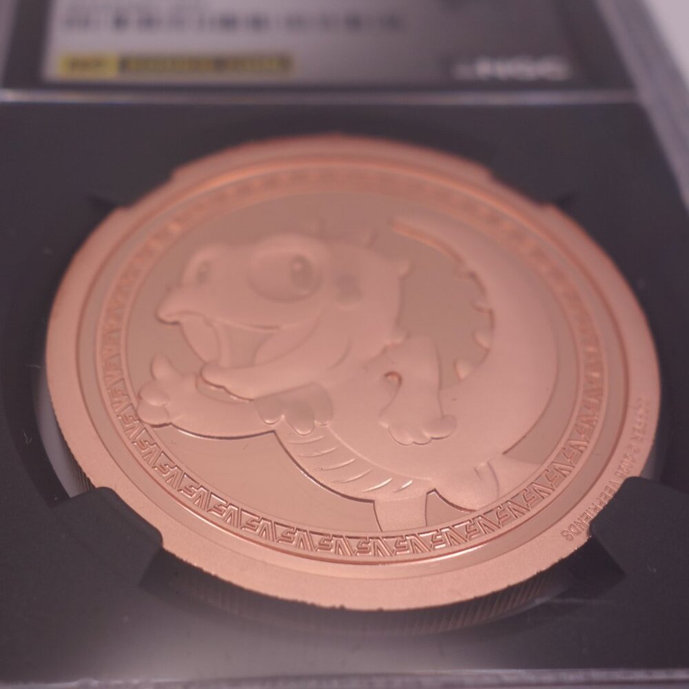 VeeFriends Coins 2025 Intuitive Iguana Copper Medal GEM PROOF Rookie Coin NGC - Picture 3 of 16